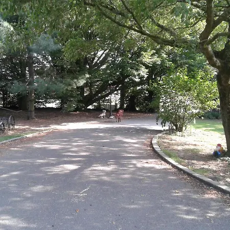 Frühstückspension D'hotes Elevage' Chemin Noir