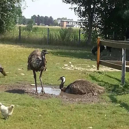 D'hotes Elevage' Chemin Noir Frühstückspension Verlinghem