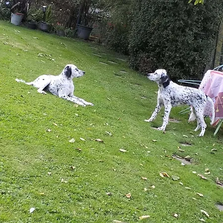 D'hotes Elevage' Chemin Noir