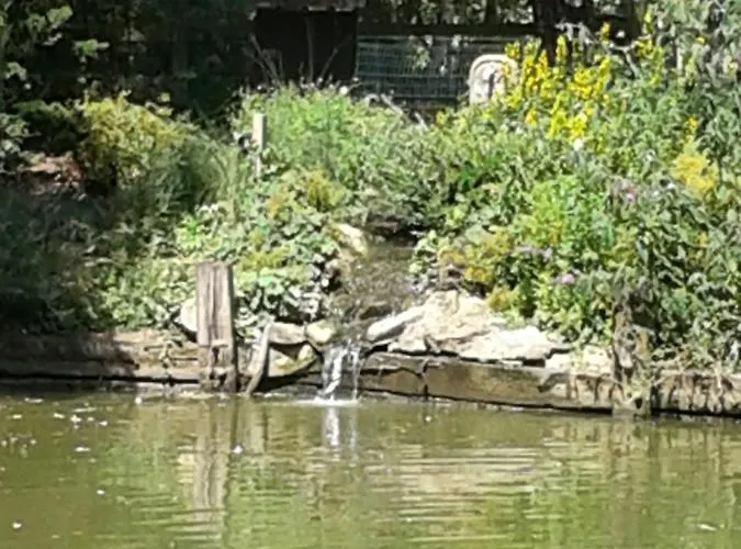 D'hôtes élevage' Chemin Noir Verlinghem