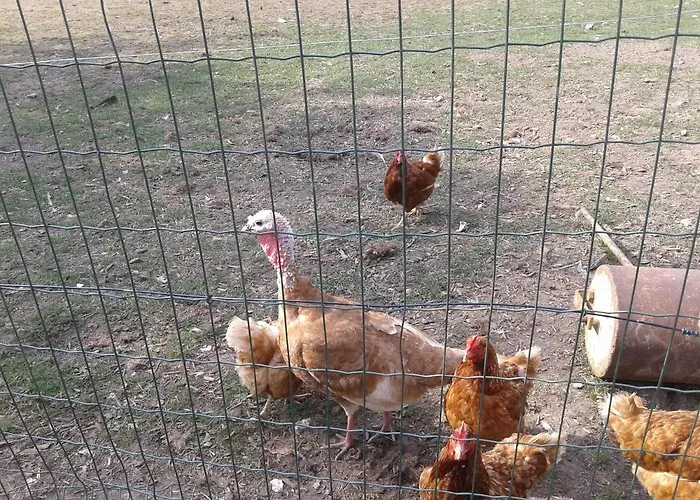 Couette-café D'hôtes élevage' Chemin Noir Verlinghem