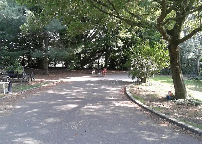 Couette-café D'hôtes élevage' Chemin Noir