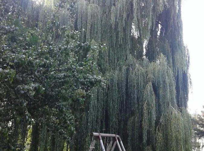 Couette-café D'hôtes élevage' Chemin Noir 3*