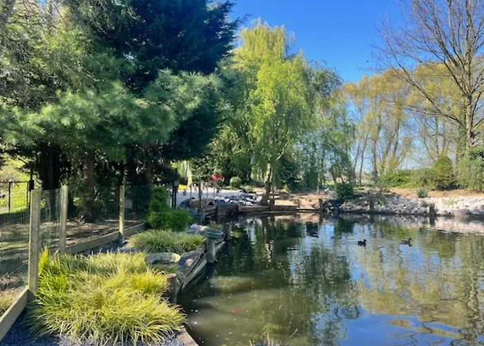 D'hôtes élevage' Chemin Noir Couette-café 3*